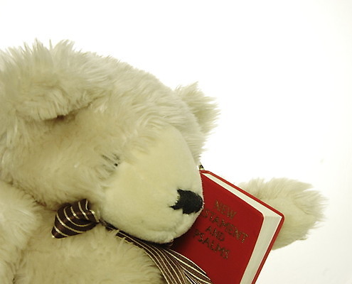 포토 JPG 해외이미지 교육 꽃 곰 휴가 부활절 선물 앉기 사람없음 빨간색 장난감 흰색 축하 달콤 읽기 오브젝트 기회 부드러움 고립 해외202004 해외포토 식물 동물 기념일 컬러 컨셉 포유류 모션 감각 맛 파일형식 이미지허브