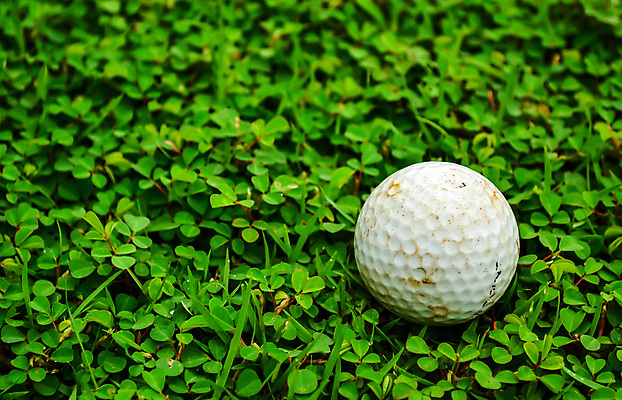 포토 JPG 해외이미지 직업 라이프스타일 스포츠 포즈 백그라운드 골프 공 자연 놀이 휴식 취미 사람없음 야외 컵 초록색 경쟁 게임 흰색 구멍 거친 골퍼 목표 강의 연습 오브젝트 클럽 기어 내추럴 플레이어 해외202004 해외포토 식기 컬러 컨셉 운동선수 생활 구기 생태계 파일형식 이미지허브