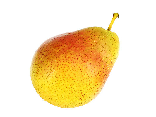 포토 JPG 해외이미지 1 계절 음식 줄기 백그라운드 다이어트 과일 자연 디저트 건강 사람없음 초록색 정원 식사 저녁식사 가을 흰색 신선 달콤 아침식사 먹기 오브젝트 싱글 상쾌 유기농 내추럴 점심식사 과육 수유 해외202004 해외포토 식물 웰빙 감정 컬러 모션 맛 생태계 파일형식 이미지허브