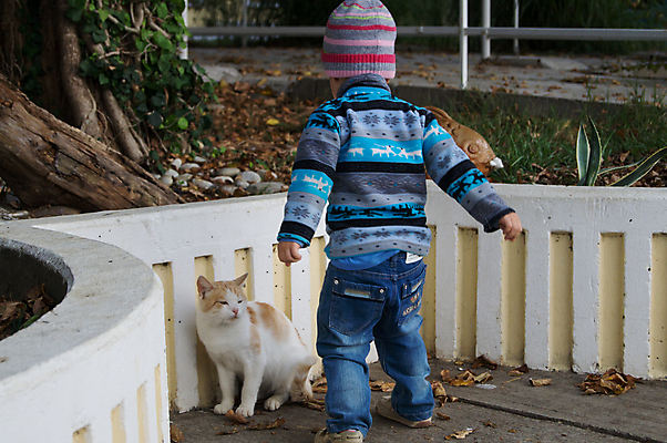 포토 JPG 해외이미지 백인 1 남자 행복 아들 얼굴 어린이 장난 가족 놀이 손자 한명 미소 웃음 사람 소년 야외 태양 에너지 표현 아기 작음 호기심 걸음마 천진난만 유일 해외202004 해외포토 자연요소 서양인 감정 컨셉 관계 모션 표정 신체부위 크기 손주 파일형식 이미지허브