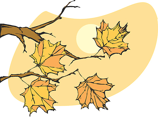 포토 JPG 해외이미지 나무 계절 잎 오렌지 사람없음 빨간색 할로윈 추위 가을 변화 저녁 갈퀴 해외202004 해외포토 식물 컬러 컨셉 과일 야간 파일형식 이미지허브