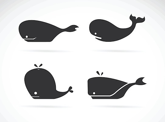 EPS 해외이미지 일러스트 종류 사람없음 세트 검은색 심볼 고래 해외202004 해외일러스트 컬러 포유류 수중동물 파일형식 벡터 이미지허브