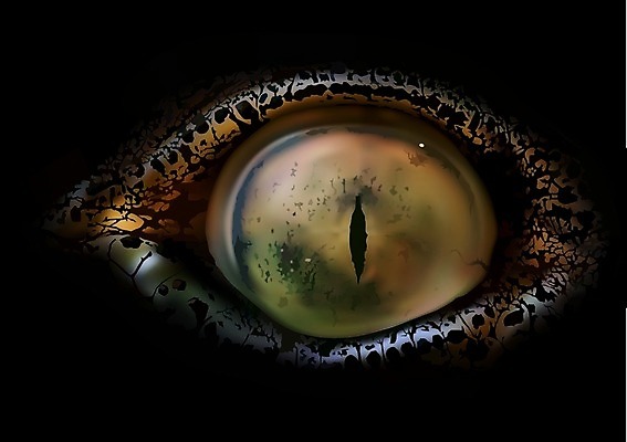 EPS 해외이미지 동물 응시 얼굴 야생동물 백그라운드 일러스트 파충류 자연 신체부위 가죽 눈동자 피부 묘사 시력 악어 붓꽃 디테일 해외202004 해외일러스트 시선 꽃 사람 눈_신체부위 생태계 파일형식 벡터 이미지허브