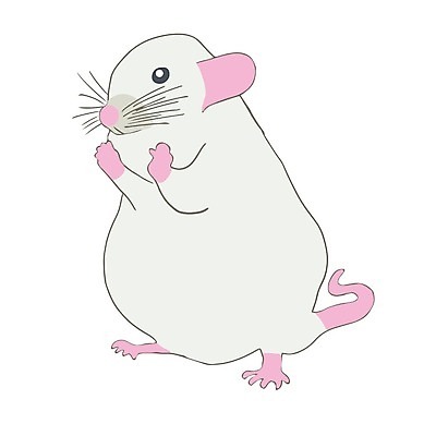 EPS 해외이미지 클립아트 동물 구름 전통 배너 꽃 실루엣 아시아 종이 패턴 일러스트 텍스트 휴가 이벤트 타이포그라피 장식 빨간색 세트 파티 일본 축제 중국 수확 축하 황금 플랫 쥐 인쇄 심볼 꼬리 윤곽 손그림 해피뉴이어 고립 엘리먼트 해외202004 해외일러스트 자연요소 식물 문자 나라 컬러 컨셉 무늬 농업 촬영기법 새해인사 설치류 파일형식 벡터 이미지허브