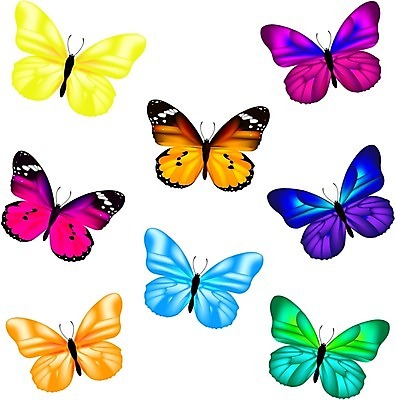 EPS 해외이미지 식물 동물 나비 곤충 날개 일러스트 자연 파란색 세트 흰색 점 우아함 공작 수집 심볼 오브젝트 양배추 고립 해외202004 해외일러스트 컬러 컨셉 채소 조류 생태계 파일형식 벡터 이미지허브