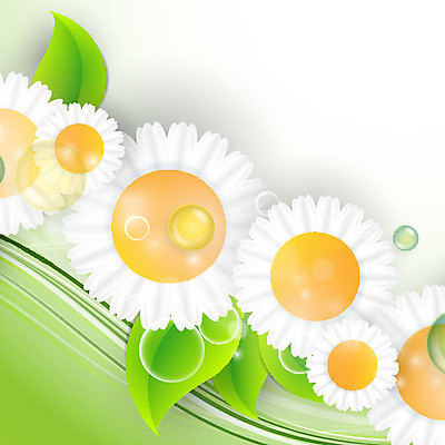 EPS 해외이미지 모양 식물 템플릿 디자인 배너 백그라운드 컨셉 잎 패턴 일러스트 비즈니스 자연 추상 미술 그래픽 장식 초록색 컬러풀 글로벌 환경 재활용 성장 보호 심볼 에코 유기농 생태계 내추럴 개발 바이오 생태학 엘리먼트 해외202004 해외일러스트 웰빙 교육 컬러 무늬 문화예술 친환경 파일형식 벡터 이미지허브