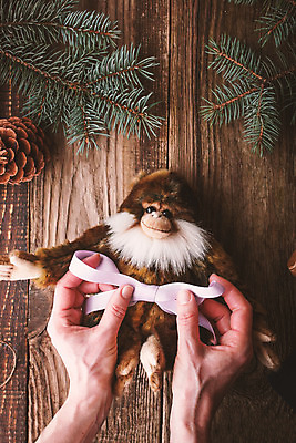 포토 JPG 해외이미지 동물 손 계절 리본 밧줄 분홍색 크리스마스 겨울 탁자 휴가 휴식 새해 기념 선물 사람 사람없음 목재 세로 초록색 파란색 장난감 축제 흰색 원숭이 소나무 코드 제비꽃 활 준비 잔치 부드러움 전나무 원뿔 짐싸기 옛날 테마 핸드메이드 해외202004 해외포토 도형 나무 기념일 꽃 줄 컬러 가구 컨셉 재료 포유류 신체부위 감각 파일형식 이미지허브