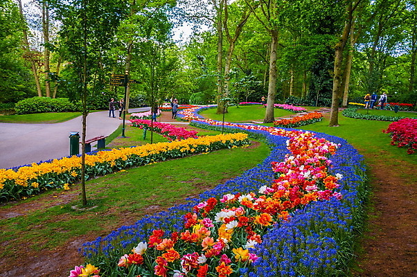 포토 JPG 해외이미지 나무 식물 구름 계절 공원 꽃잎 꽃 분홍색 백그라운드 꽃무늬 밭 오렌지 자연 하늘 휴가 풍경 잔디 사람없음 야외 빨간색 초록색 여름 파란색 햇빛 태양 노란색 일출 정원 맑음 봄 활발 튤립 벚꽃 흰색 개화 네덜란드 암스테르담 섞기 해외202004 해외포토 자연요소 공공시설 유럽 컬러 컨셉 무늬 농업 과일 날씨 노을 생태계 파일형식 이미지허브