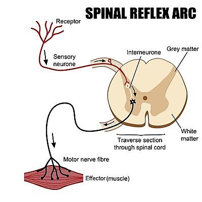 EPS 해외이미지 기념일 음료 일러스트 추상 맥주 컴퓨터 세계 손상 머그컵 바 날짜 심볼 사인 5 고무 우표 8월 월 고립 그런지 해외202004 해외일러스트 컨셉 무늬 주류 이벤트 컵 전자제품 숫자 파일형식 벡터 이미지허브
