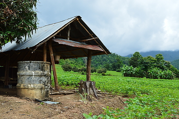 포토 JPG 해외이미지 식물 아시아 밭 농업 지붕 산 풍경 사람없음 건물 초록색 보호 오두막 밭일 해외202004 해외포토 건축물 나라 산업 컬러 컨셉 파일형식 이미지허브