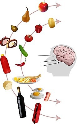 EPS 해외이미지 음료 음식 컨셉 일러스트 마음 입 감각 맛 향신료 뇌 코 냄새 아로마 중독 해외202004 해외일러스트 신체부위 향미료 파일형식 벡터 사람 양념 이미지허브