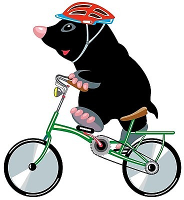 EPS 해외이미지 동물 라이프스타일 어린이 스포츠 일러스트 모션 자연 야외 자전거 헬멧 작음 만화 사이클링 두더지 라이더 생태학 해외202004 해외일러스트 교육 사람 생활 바이크 보호장비 크기 육상스포츠 생태계 파일형식 벡터 이미지허브