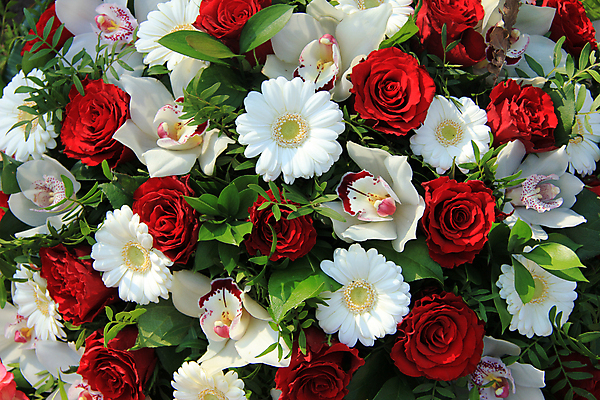 포토 JPG 해외이미지 식물 꽃잎 꽃 꽃다발 결혼 백그라운드 컨셉 자연 탁자 결혼식 사랑 사람없음 장식 초록색 노란색 흰색 그룹 난초 배열 묘사 해외202004 해외포토 감정 컬러 가구 이벤트 생태계 파일형식 이미지허브