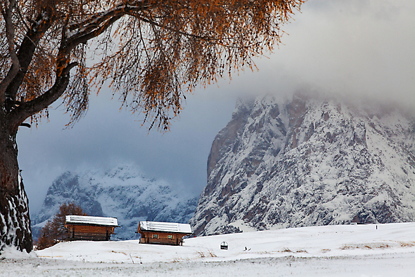 포토 JPG 해외이미지 나무 계절 공원 유럽 여행 백그라운드 겨울 자연 하늘 휴가 산 파노라마 국립공원 풍경 사람없음 야외 파란색 여행객 마을 계곡 놀람 이탈리아 하이킹 추위 가을 보트 숲 휴양지 알프스 완벽 절정 눈내림 해외202004 해외포토 식물 공공시설 감정 나라 컬러 컨셉 배_교통 레저 눈_날씨 촬영기법 표정 사람 장소 생태계 파일형식 이미지허브