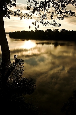 포토 JPG 해외이미지 나무 공원 호수 여행 무지개 자연 휴가 주택 풍경 사람없음 목재 물 강 반사 평화 미국 침묵 고요 일몰 조약돌 황무지 고독 숲 오두막 열대우림 헛간 남쪽 아마존 오지 전국 판잣집 페루 해외202004 해외포토 자연요소 식물 공공시설 감정 컨셉 북아메리카 재료 건물 노을 소리 돌_바위 남아메리카 방향 생태계 저장고 파일형식 이미지허브