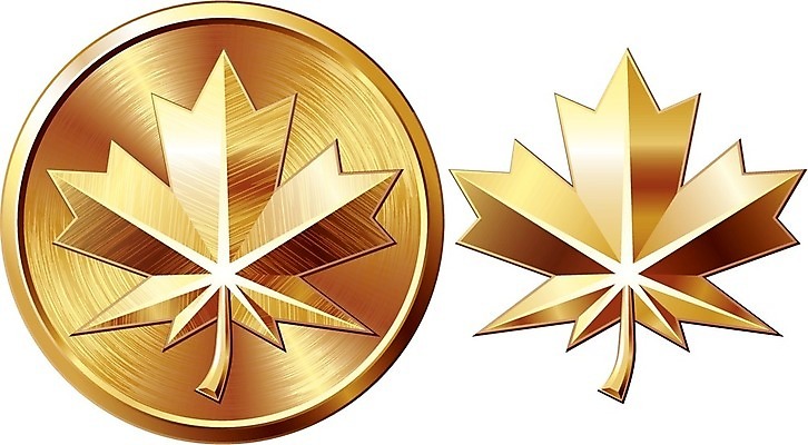 EPS 해외이미지 클립아트 식물 접시 디자인 컨셉 단풍 잎 일러스트 자연 아이디어 사람없음 장식 빛 반짝임 세트 한개 반사 라벨 금속 가을 원형 황금 메달 심볼 사인 고민 흰배경 배지 스크래치 청동 휘장 고립 고체 명패 해외202004 해외일러스트 도형 1 식기 계절 감정 백그라운드 모션 재질 프레임 흰색 생태계 상_상패 파일형식 벡터 이미지허브