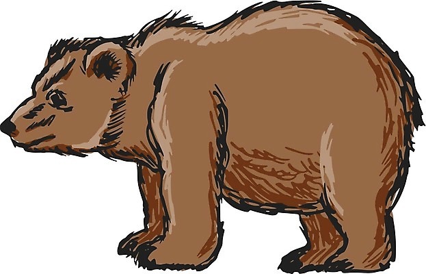 EPS 해외이미지 동물 1 응시 일러스트 곰 포유류 가로 갈색 숲 위험 만화 스케치 손그림 해외202004 해외일러스트 시선 컬러 컨셉 미술 파일형식 벡터 이미지허브