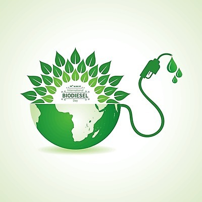 EPS 해외이미지 식물 디자인 컨셉 잎 지도 일러스트 자연 초록색 지구본 환경 재활용 에너지 알코올 플랫 역 심볼 사인 에코 유기농 생태계 연료 가스 자원 내추럴 고립 노즐 디젤 바이오 생태학 인터페이스 카놀라 화학물질 해외202004 해외일러스트 웰빙 교육 컬러 교통시설 화학 친환경 파일형식 벡터 이미지허브