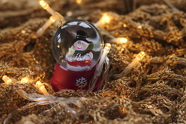 포토 JPG 해외이미지 계절 백그라운드 크리스마스 눈사람 유리 휴가 전등 사람없음 장식 빛 반짝임 반사 지구본 축제 공백 인사 신용카드 투명 황금 소프트포커스 오브젝트 마법 블러 삽입 여의주 카피스페이스 현실 해외202004 해외포토 기념일 모션 재질 조명 촬영기법 금융 예절 파일형식 이미지허브