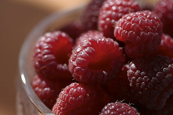 포토 JPG 해외이미지 식물 접시 열매 음식 과일 자연 건강 사람없음 빨간색 정원 성장 신선 사발 맛 아침식사 산딸기 숙성 해외202004 해외포토 식기 컬러 컨셉 식사 사기그릇 생태계 파일형식 이미지허브