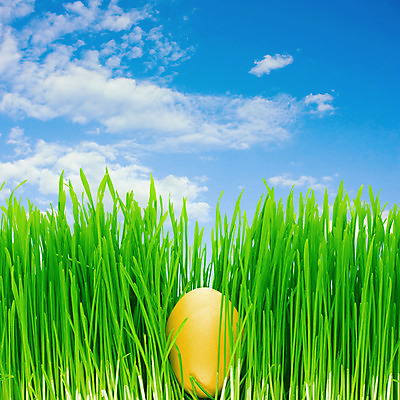 포토 JPG 해외이미지 식물 계절 꽃 문화 컨셉 잎 채소 하늘 휴가 사람없음 장식 가로 여름 파란색 농장 갈색 정원 침묵 축하 황금 보호 4월 6월 땅 심볼 오브젝트 싱글 원예 세련 해외202004 해외포토 컬러 농업 취미 소리 날짜 파일형식 이미지허브