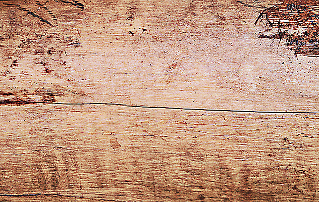 포토 JPG 해외이미지 나무 템플릿 디자인 배너 포스터 벽 조각 백그라운드 패턴 자연 표면 추상 바닥 주택 사람없음 목재 갈색 노란색 어둠 껍질 시골 거친 닫기 널 숲 장작 자르기 질감 통나무 나무껍질 내추럴 고립 그런지 수목 옛날 적갈색 해외202004 해외포토 식물 컬러 무늬 재료 모션 건물 생태계 파일형식 이미지허브