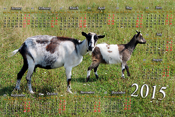 포토 JPG 해외이미지 디자인 영어 어린이 비즈니스 포유류 설계 염소 수염 털 사람없음 빨간색 숫자 농장 다이어리 가축 달력 시간 일주일 날짜 소 암호 5월 연도 심볼 준비 약속 2015년 일요일 1월 8월 월 금요일 다음 밭일 암사슴 조언 찰과상 토요일 해외202004 해외포토 동물 문자 컬러 컨셉 농업 사슴 사람 사무용품 상처 암컷 요일 파일형식 이미지허브