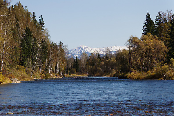 포토 JPG 해외이미지 나무 잎 자연 하늘 산 풍경 사람없음 야외 초록색 물 파란색 강 흐름 가을 조약돌 바위 개울 숲 속도 장면 해외202004 해외포토 자연요소 식물 계절 컬러 컨셉 돌_바위 생태계 파일형식 이미지허브