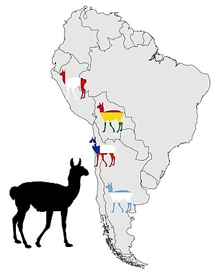 EPS 해외이미지 동물 배너 실루엣 백그라운드 지도 일러스트 검은색 미국 회색 흰색 깃발 낙타 남쪽 고립 동물상 라마 분배 전국 해외202004 해외일러스트 컬러 북아메리카 포유류 촬영기법 조형물 방향 파일형식 벡터 이미지허브