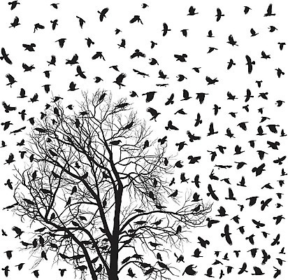 EPS 해외이미지 나무 동물 디자인 백그라운드 일러스트 자연 조류 창조 검은색 어둠 죽음 악마 까마귀 집게발 해외202004 해외일러스트 식물 컬러 생태계 파일형식 벡터 이미지허브