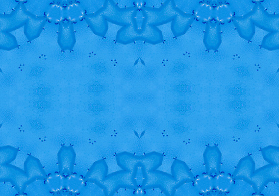 포토 JPG 해외이미지 템플릿 디자인 과학 백그라운드 컨셉 패턴 일러스트 추상 세포 미술 사람없음 그래픽 장식 파란색 디지털 네트워크 발표 그룹 우아함 생명공학 분석 유기농 파란배경 만들기 미생물 엘리먼트 스타일 카피스페이스 해외202004 해외포토 웰빙 컬러 무늬 의학 모션 문화예술 생물 공백 파일형식 이미지허브