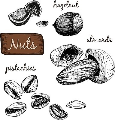 EPS 해외이미지 식물 디자인 선 음식 다이어트 일러스트 재료 건강 씨앗 그래픽 세트 펜 견과류 낙서 스케치 수집 윤곽 호두 손그림 아몬드 건강식 내추럴 고립 옛날 개암 해외202004 해외일러스트 열매 미술 필기구 파일형식 벡터 이미지허브