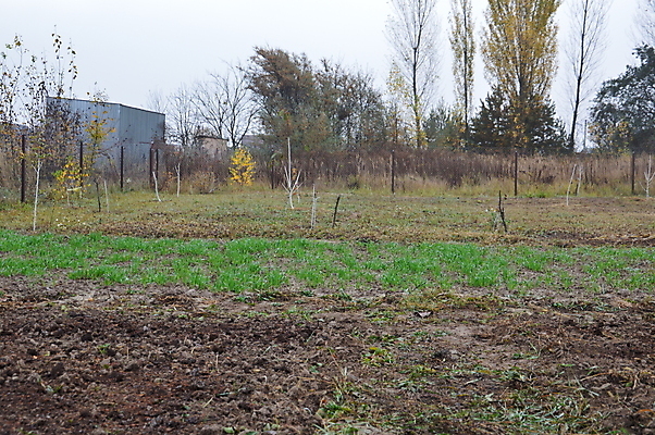 포토 JPG 해외이미지 나무 식물 손 계절 유럽 백그라운드 잎 겨울 농업 자연 노동자 사람 사람없음 야외 목재 초록색 정원 봄 장비 추위 가을 흰색 나뭇가지 업무 숲 준비 원예 내추럴 원예사 해외202004 해외포토 직업 나라 산업 컬러 재료 취미 신체부위 작업 생태계 파일형식 이미지허브