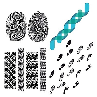 EPS 해외이미지 선 백그라운드 패턴 곡선 일러스트 손가락 자국 자동차 안전 그래픽 검은색 산책로 덮개 범죄 경찰 떨어짐 DNA 인쇄 발자국 도둑 수갑 심볼 흔적 사인 보안 신분 타이어 트랙 고무 탐정 선로 유전 지문 해외202004 해외일러스트 직업 손 길 육상교통 컬러 컨셉 무늬 뚜껑 생명공학 범죄인 파일형식 벡터 이미지허브
