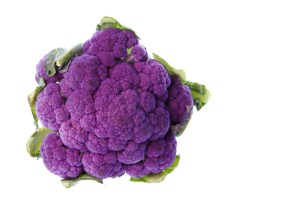 포토 JPG 해외이미지 음식 농업 다이어트 채소 자연 건강 사람없음 초록색 신선 닫기 먹기 유기농 날것 내추럴 고립 식용 채식주의자 해외202004 해외포토 웰빙 산업 컬러 모션 생태계 채식 파일형식 이미지허브