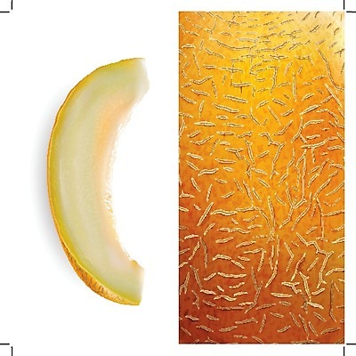 EPS 해외이미지 클립아트 음식 조각 잎 오렌지 과일 일러스트 재료 포장 자연 디저트 요리 그래픽 장식 컬러풀 라벨 주방 식당 수확 신선 맛 멜론 먹기 에코 유기농 날것 배지 내추럴 고립 숙성 채식주의자 현실 해외202004 해외일러스트 식물 웰빙 컬러 컨셉 농업 모션 프레임 환경 상점 생태계 채식 파일형식 벡터 이미지허브