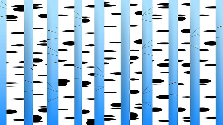 EPS 해외이미지 모양 나무 식물 템플릿 손 계절 실루엣 백그라운드 잎 패턴 일러스트 자연 손바닥 미술 야외 목재 그래픽 장식 컬러풀 갈색 환경 정원 성장 가을 나뭇가지 직물 신선 심볼 그림 유기농 심플 자작나무 내추럴 엘리먼트 옛날 스타일 해외202004 해외일러스트 웰빙 컬러 무늬 재료 문화예술 촬영기법 신체부위 생태계 파일형식 벡터 이미지허브