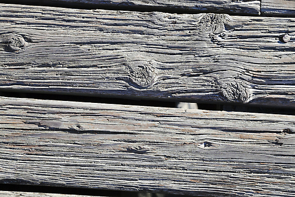 포토 JPG 해외이미지 나무 디자인 벽 백그라운드 패턴 자연 표면 바닥 주택 프레임 사람없음 건물 목재 빛 갈색 어둠 줄무늬 수확 소나무 판넬 거친 널 매끈함 낟알 묘사 사인 질감 복고 목공예 쏟아짐 내추럴 그런지 수목 옛날 해외202004 해외포토 식물 건축물 컬러 무늬 농업 재료 모션 감각 공예 생태계 파일형식 이미지허브