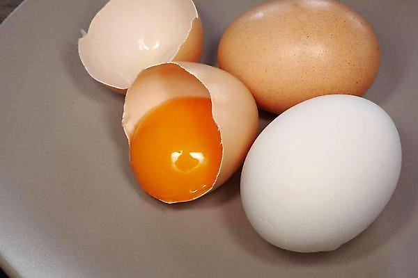 포토 JPG 해외이미지 동물 음식 백그라운드 다이어트 재료 자연 건강 사람없음 농장 갈색 노란색 계란 치킨 껍질 흰색 신선 액체 아침식사 먹기 유기농 날것 노른자 내추럴 깨짐 단백질 생식 암탉 해외202004 해외포토 웰빙 컬러 컨셉 농업 모션 알 식사 닭 암컷 생태계 닭고기요리 영양소 파일형식 이미지허브