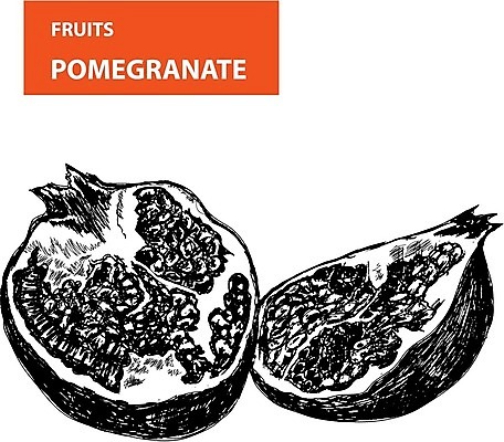 EPS 해외이미지 디자인 음식 조각 백그라운드 과일 일러스트 자연 흑백 건강 미술 씨앗 그래픽 장식 빨간색 여름 주방 검은색 주스 봄 수확 흰색 신선 오픈 달콤 맛 낙서 스케치 심볼 오브젝트 그림 복고 석류 내추럴 고립 바이오 숙성 옛날 채식주의자 해외202004 해외일러스트 식물 계절 음료 컬러 컨셉 농업 문화예술 촬영기법 생태계 채식 파일형식 벡터 이미지허브