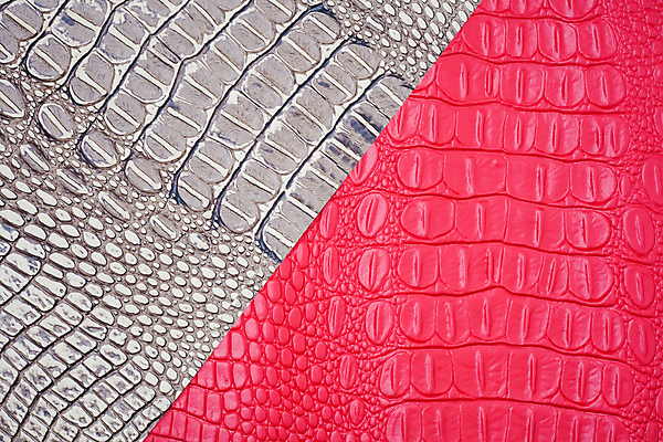 포토 JPG 해외이미지 동물 디자인 분홍색 가구 백그라운드 패턴 가방 자연 벽지 표면 추상 미술 사람없음 장식 갈색 유행 검은색 어둠 회색 수확 골동품 덮개 직물 얼룩 거친 뱀 고급 선탠 가죽 피부 묘사 질감 복고 날것 악어 내추럴 양피지 옛날 진짜 해외202004 해외포토 잡화 컬러 생활용품 컨셉 무늬 농업 파충류 문화예술 신체부위 뚜껑 생태계 파일형식 이미지허브