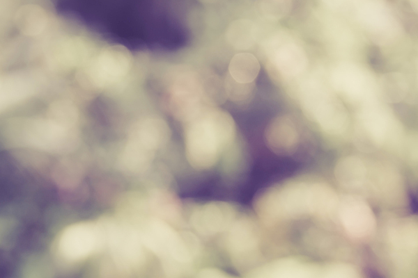 포토 JPG 해외이미지 전통 기념일 백그라운드 크리스마스 공 불 휴가 불꽃 새로움 폭죽 불꽃놀이 이벤트 사람없음 빨간색 빛 반사 노란색 검은색 축제 어둠 장비 축하 야간 폭발 폭발물 보케 마법 보여주기 빛망울 광 웅장함 해외202004 해외포토 자연요소 무기 컬러 컨셉 모션 놀이 파일형식 이미지허브