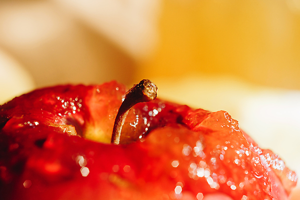 포토 JPG 해외이미지 전통 라이프스타일 음식 백그라운드 다이어트 과일 재료 유리 탁자 디저트 건강 사람없음 목재 빨간색 초록색 여름 노란색 우주 가을 축하 신선 머리빗 항아리 액체 막대기 사발 황금 달콤 아침식사 사과 상품 정상 연도 국자 유기농 꿀 내추럴 바이오 유태교 핸드메이드 해외202004 해외포토 나무 웰빙 계절 컬러 가구 컨셉 재질 주방용품 생활 식사 미용용품 도자기 사기그릇 맛 파일형식 이미지허브