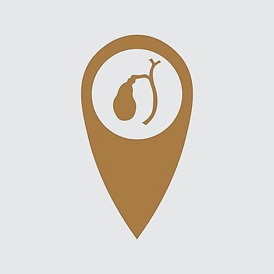 EPS 해외이미지 과학 신체 일러스트 해부 건강 사람 약 블록 오르간 질병 생물학 간 시스템 문제 외과 방광 돌봄 염증 해외202004 해외일러스트 교육 의학 모션 병원 장기_의학 건반악기 비뇨기관 파일형식 벡터 이미지허브