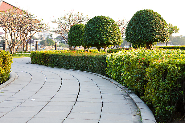 포토 JPG 해외이미지 나무 식물 라이프스타일 디자인 공원 꽃 도로 길 가구 백그라운드 잎 자연 휴식 주택 동양인 풍경 잔디 사람없음 야외 목재 초록색 여름 컬러풀 평화 환경 정원 화목 침묵 봄 산책 바위 시골 원예 내추럴 방법 정중 해외202004 해외포토 계절 공공시설 컬러 생활용품 컨셉 재료 교통시설 인종 취미 건물 생활 소리 돌_바위 생태계 파일형식 이미지허브