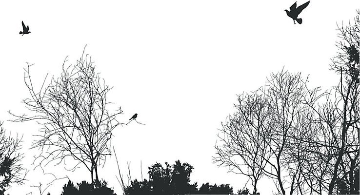 EPS 해외이미지 나무 식물 동물 디자인 실루엣 일러스트 자연 조류 추상 미술 그래픽 여름 환경 봄 나뭇가지 숲 관목 내추럴 생태학 해외202004 해외일러스트 계절 교육 무늬 문화예술 촬영기법 생태계 파일형식 벡터 이미지허브