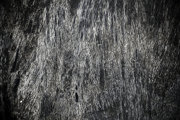 포토 JPG 해외이미지 나무 식물 디자인 계절 벽 백그라운드 잎 패턴 자연 탁자 표면 날씨 추상 바닥 사람 사람없음 야외 목재 빨간색 갈색 노란색 어둠 공백 수확 가을 판넬 거친 널 낟알 책상 질감 복고 매듭 잡동사니 내추럴 구식 그런지 땅바닥 옛날 해외202004 해외포토 컬러 가구 무늬 농업 재료 생태계 파일형식 이미지허브