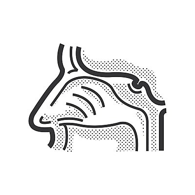 EPS 해외이미지 캐릭터 얼굴 일러스트 사람 입 오르간 그림 코 냄새 시스템 해외202004 해외일러스트 일러캐릭터 신체부위 건반악기 파일형식 벡터 이미지허브