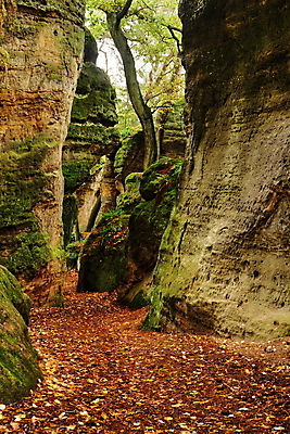 포토 JPG 해외이미지 나무 계절 공원 여행 잎 오렌지 자연 하늘 산 풍경 사람없음 야외 목재 빨간색 갈색 노란색 계곡 침묵 가을 시골 숲 암초 내추럴 해외202004 해외포토 식물 공공시설 컬러 과일 재료 소리 생태계 파일형식 이미지허브