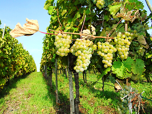 포토 JPG 해외이미지 사람없음 해외202004 해외포토 파일형식 이미지허브